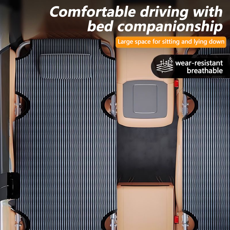 General Motors Portable Foldin - đánh giá và giá Car Seat Travel Bag